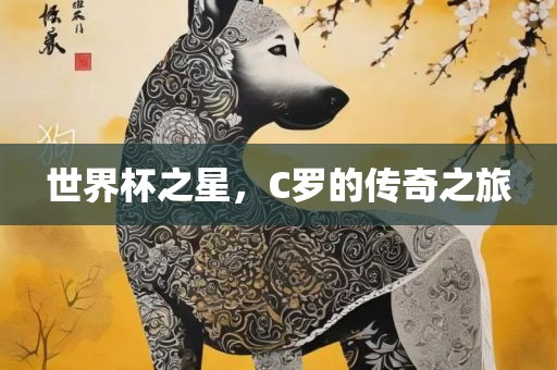 世界杯之星，C罗的传奇之旅