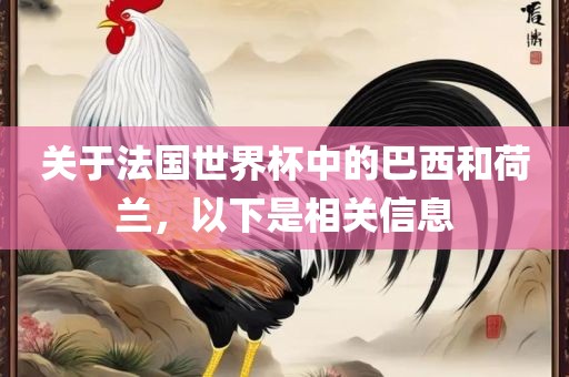 关于法国世界杯中的巴西和荷兰，以下是相关信息