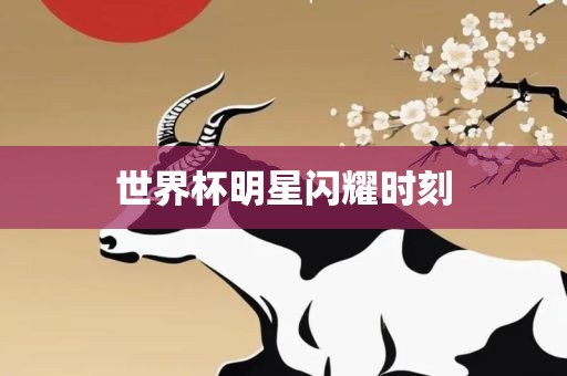 眉山市正发家政服务有限公司世界杯明星闪耀时刻