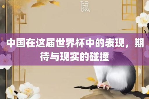 中国在这届世界杯中的表现，期待与现实的碰撞