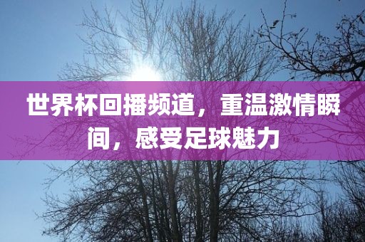 世界杯回播频道，重温激情瞬间，感受足球魅力