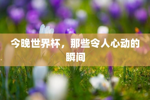 今晚世界杯，那些令人心动的瞬间