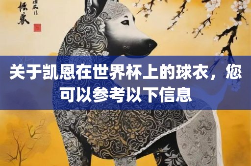 关于凯恩在世界杯上的球衣，您可以参考以下信息