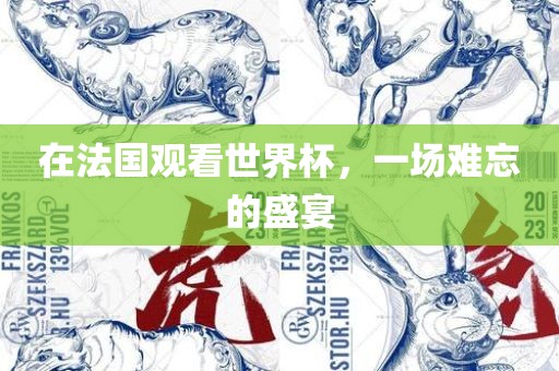在法国观看世界杯，一场难忘的盛宴