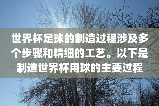 世界杯足球的制造过程涉及多个步骤和精细的工艺。以下是制造世界杯用球的主要过程