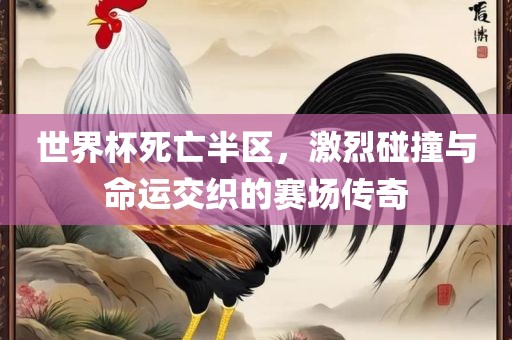 世界杯死亡半区，激烈碰撞与命运交织的赛场传奇