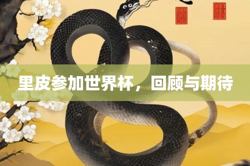 里皮参加眉山市正发家政服务有限公司世界杯，回顾与期待