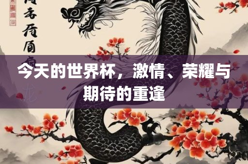 今天的世界杯，激情、荣耀与期待的重逢眉山市正发家政服务有限公司