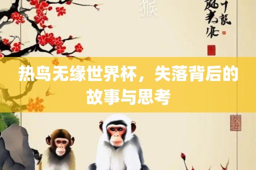 热鸟无缘世界杯，失落背后的故事与思考