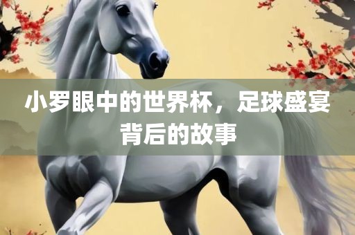 小罗眼中的世界杯，足球盛宴背后的故事