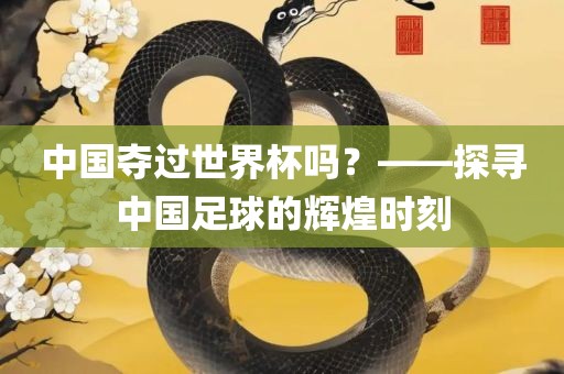 中国夺过世界杯吗？——探寻中国足球的辉煌时刻