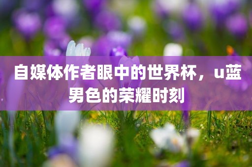 自媒体作者眼中的世界杯，u蓝男色的荣耀时刻