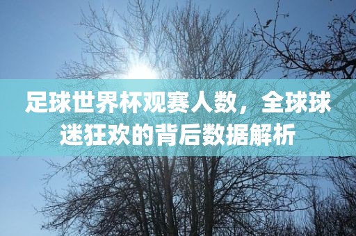 足球世界杯观赛人数，全球球迷狂欢的背后数据解析