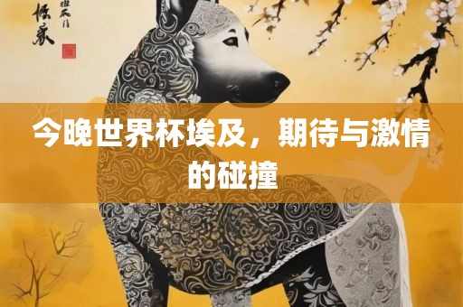 今晚世界杯埃及，期待与激情的碰撞