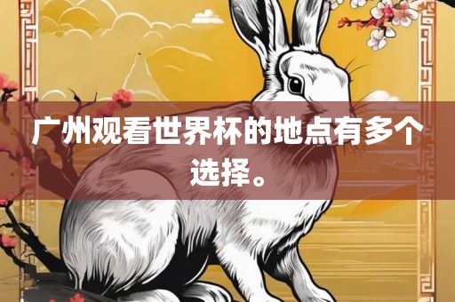 广州观看世界杯的地点有多个选择。