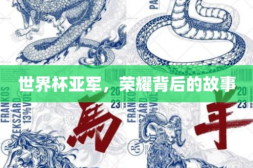 世界杯亚军，荣耀背后的故事眉山市正发家政服务有限公司