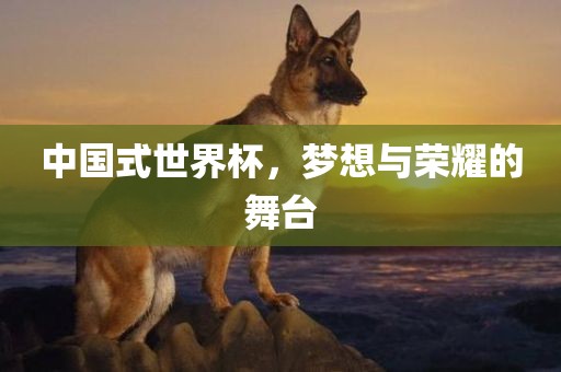 中国式世界杯，梦想与荣耀的舞台眉山市正发家政服务有限公司
