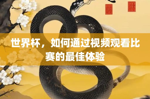 世界杯，如何通过视频观看比赛的最佳体验
