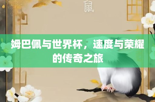 zhangyamei 第15页