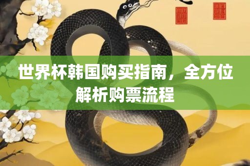 世界杯韩国购买指南，全方位解析购票流程