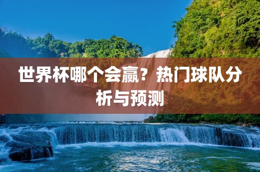 世界杯哪个会赢？热门球队分析与预测