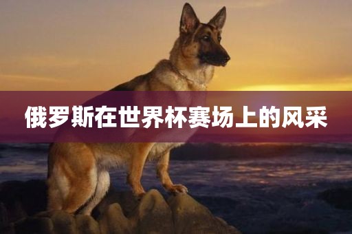 俄罗斯在世界杯赛场上的风采