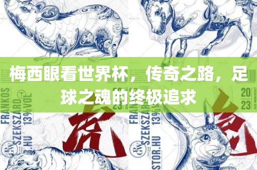 梅西眼看世界杯，传奇之路，足球之魂的终极追求