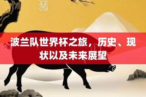 波兰队世界杯之旅，历史、现状以及未来展望