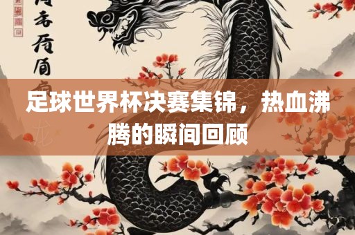 足球世界杯决赛集锦，热血沸腾的瞬间回顾