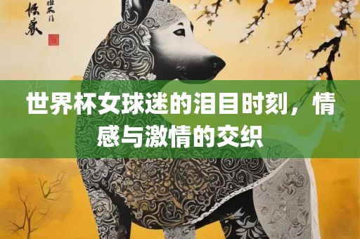 世界杯女球迷的泪目时刻，情感与激情的交织