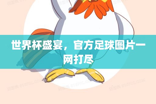 世界杯盛宴，官方足球图片一网打尽