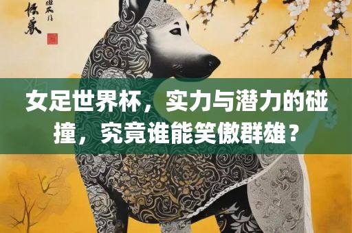女足世界杯，实力与潜力的碰撞，究竟谁能笑傲群雄？