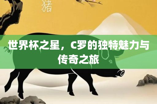 世界杯之星，C罗的独特魅力与传奇之旅