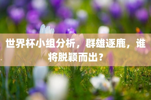 世界杯小组分析，群雄逐鹿，谁将脱颖而出？