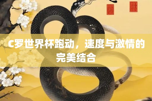 C罗世界杯跑动，速度与激情的完美结合眉山市正发家政服务有限公司