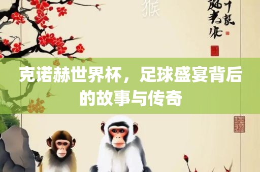克诺赫世界杯，足球盛宴背后的故事与传奇