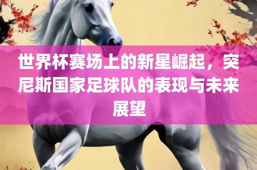 世界杯赛场上的新星崛起，突尼斯国家足球队的表现与未来展望