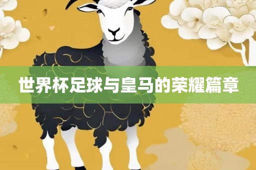 世界杯足球与皇马的荣耀篇章