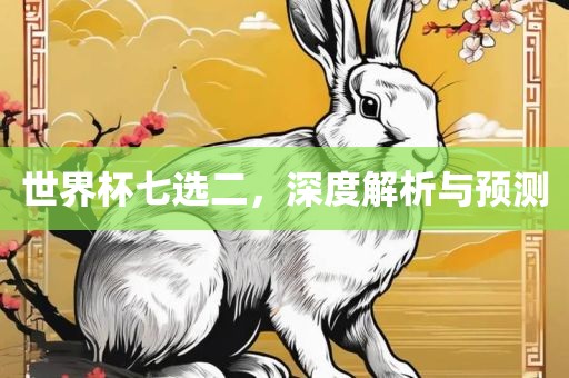 世界杯七选二，深度解析与预测