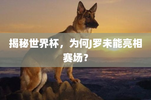 揭秘世界杯，为何J罗未能亮相赛场？