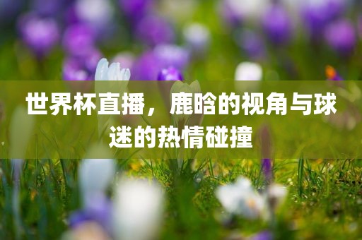 世界杯直播，鹿晗的视角与球迷的热情碰撞