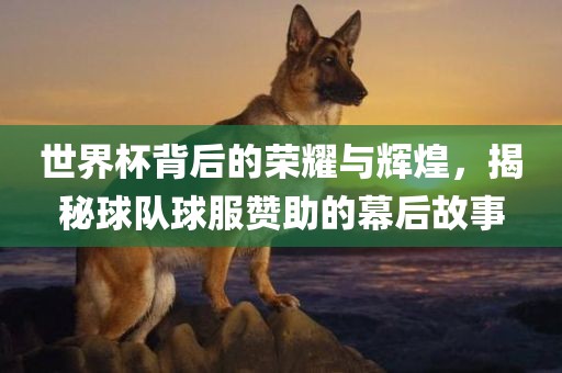 世界杯背后的荣耀与辉煌，揭秘球队球服赞助的幕后故事