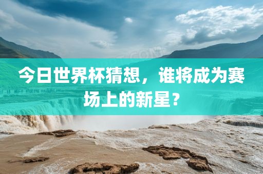 眉山市正发家政服务有限公司今日世界杯猜想，谁将成为赛场上的新星？