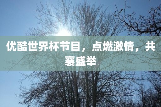 优酷世界杯节目，点燃激情，共襄盛举眉山市正发家政服务有限公司