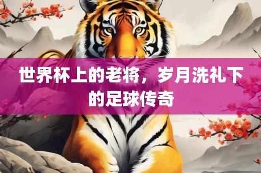 世界杯上的老将，岁月洗礼下的足球传奇