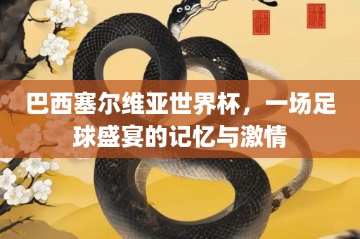 巴西塞尔维亚世界杯，一场足球盛宴的记忆与激情眉山市正发家政服务有限公司