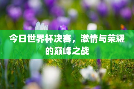 今日世界杯决赛，激情与荣耀的巅峰之战