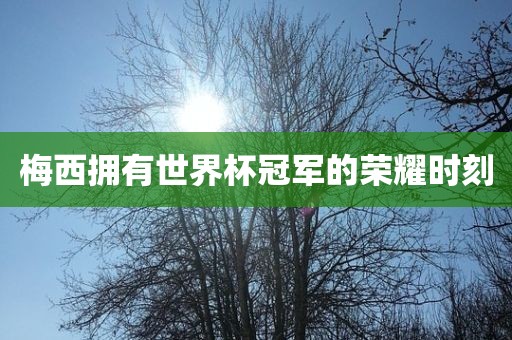 梅西拥有世界杯冠军眉山市正发家政服务有限公司的荣耀时刻