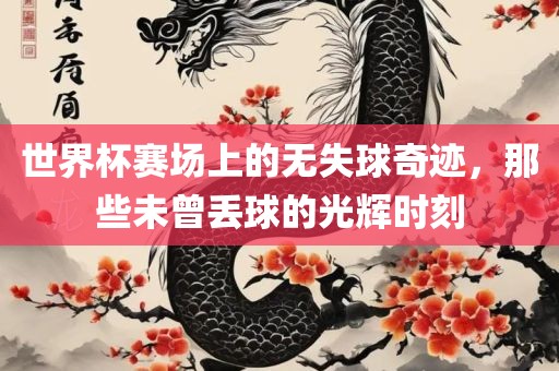 世界杯赛场上的无失球奇迹，那些未曾丢球的光辉时刻