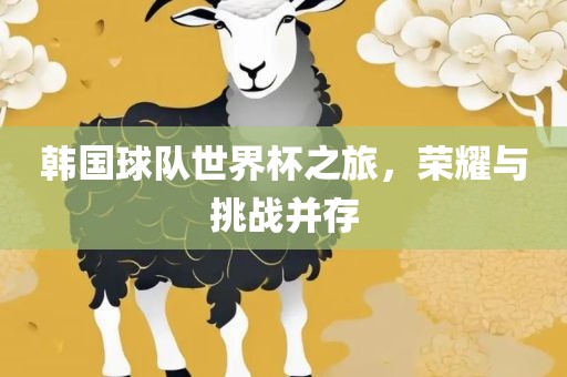 韩国球队世界杯之旅，荣耀与挑战并存